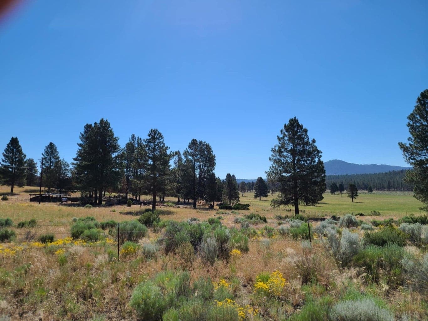 Photo of 31747 Godowa Springs 4 of 23