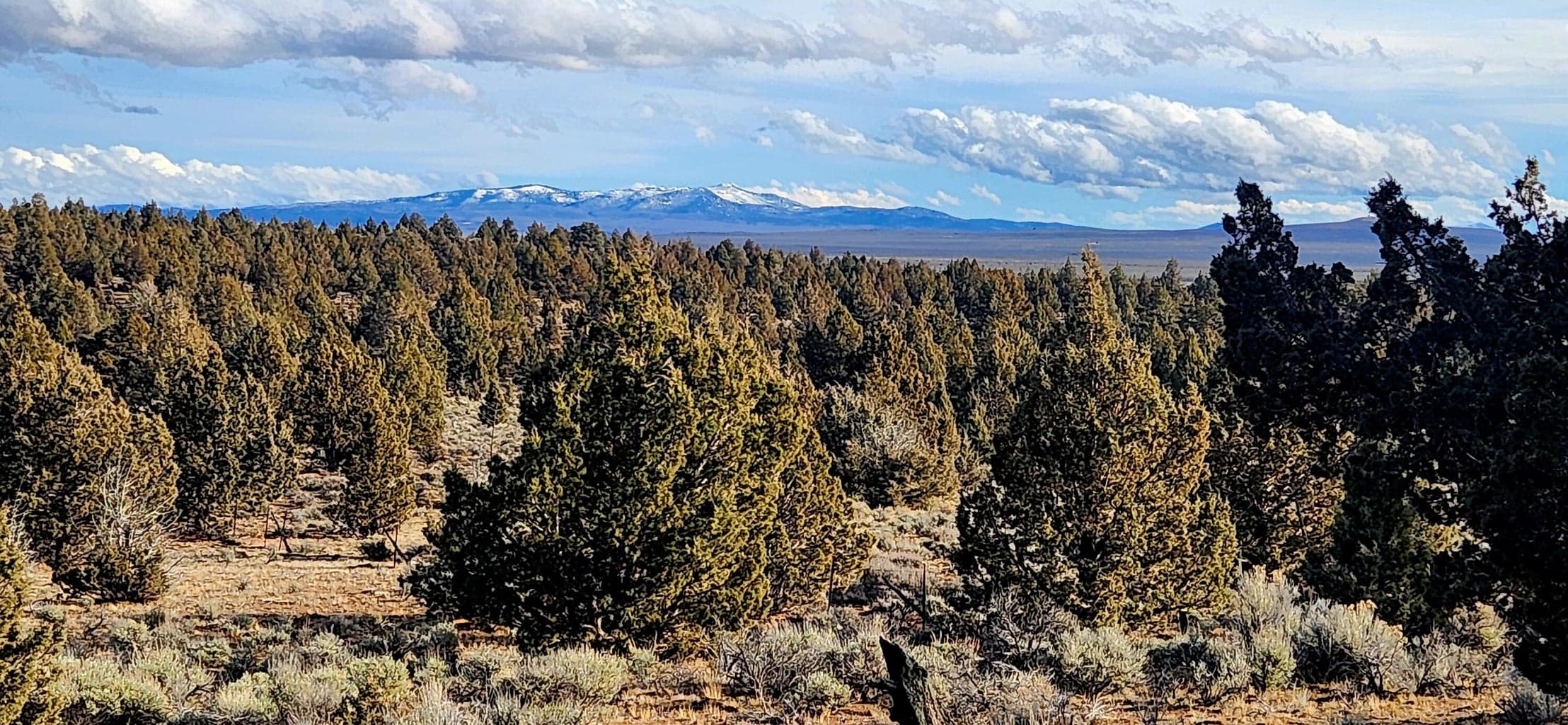 Photo of Merrill 5 of 16