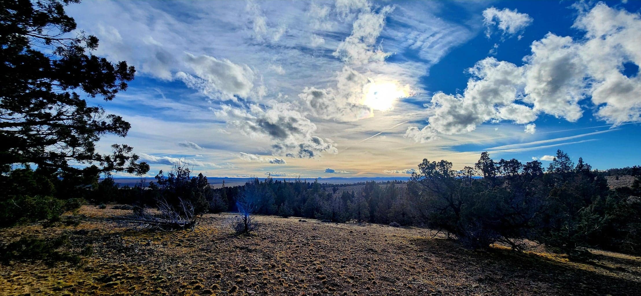 Photo of Merrill 3 of 16