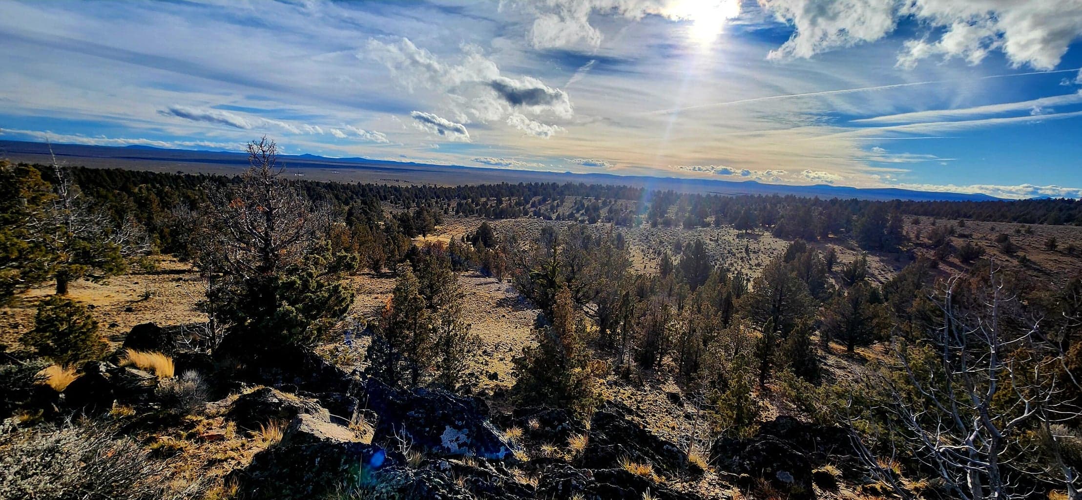Photo of Merrill 2 of 16