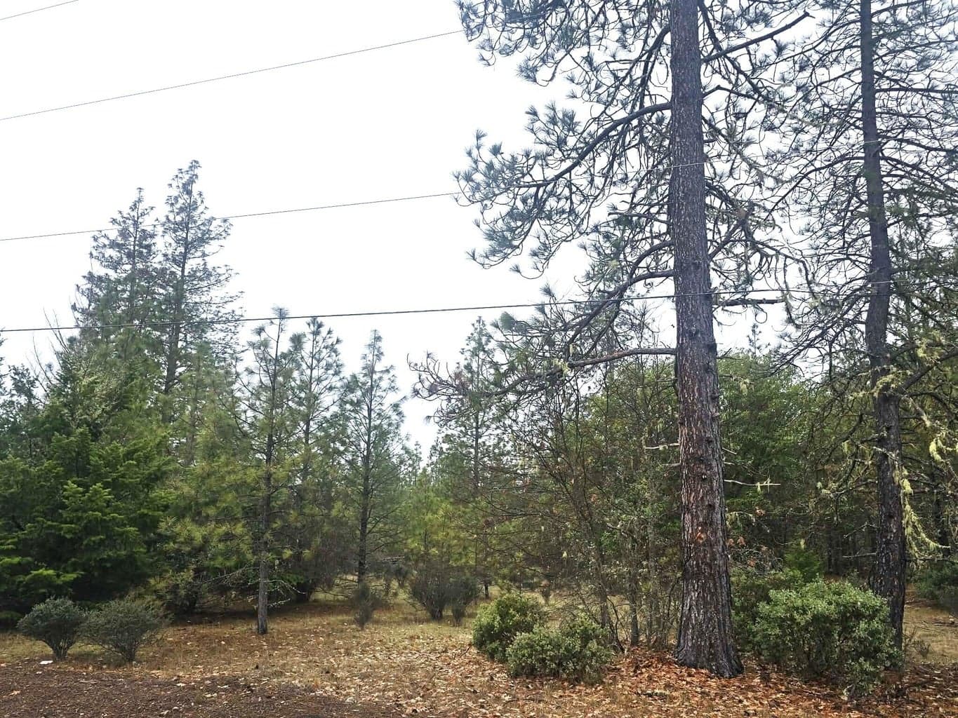 Photo of 5322 Rockydale 2 of 3