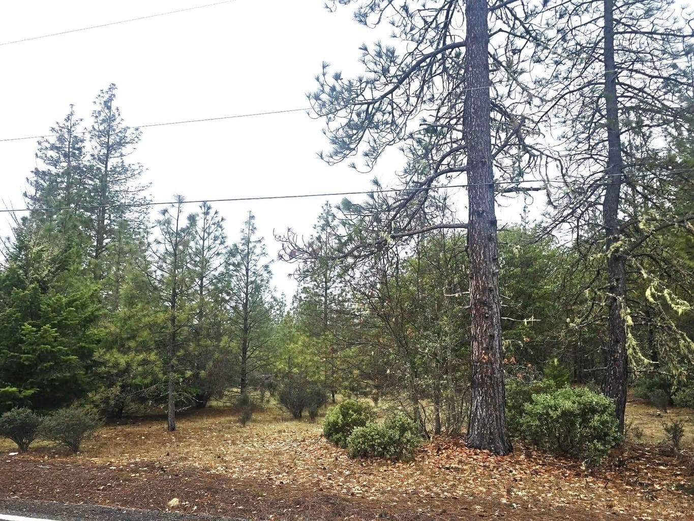 Photo of 5322 Rockydale 3 of 3