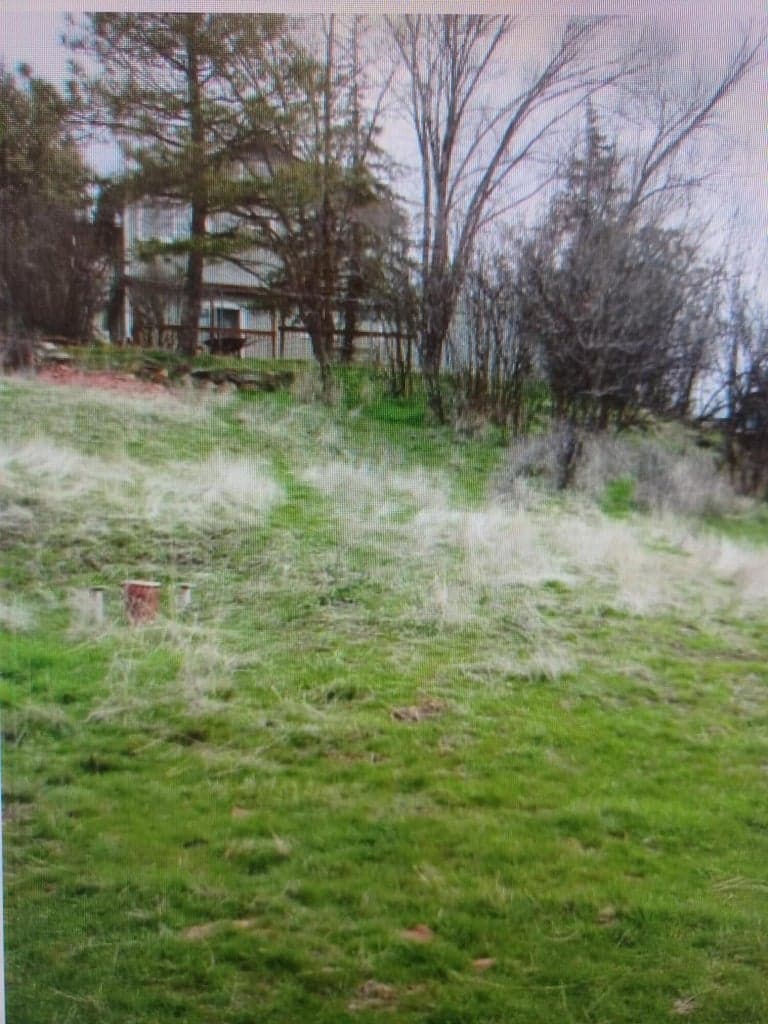 Photo of Hillside 3 of 10