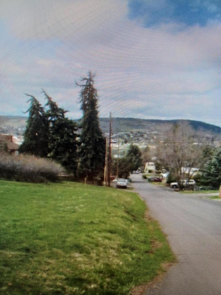 Photo of Hillside 5 of 10