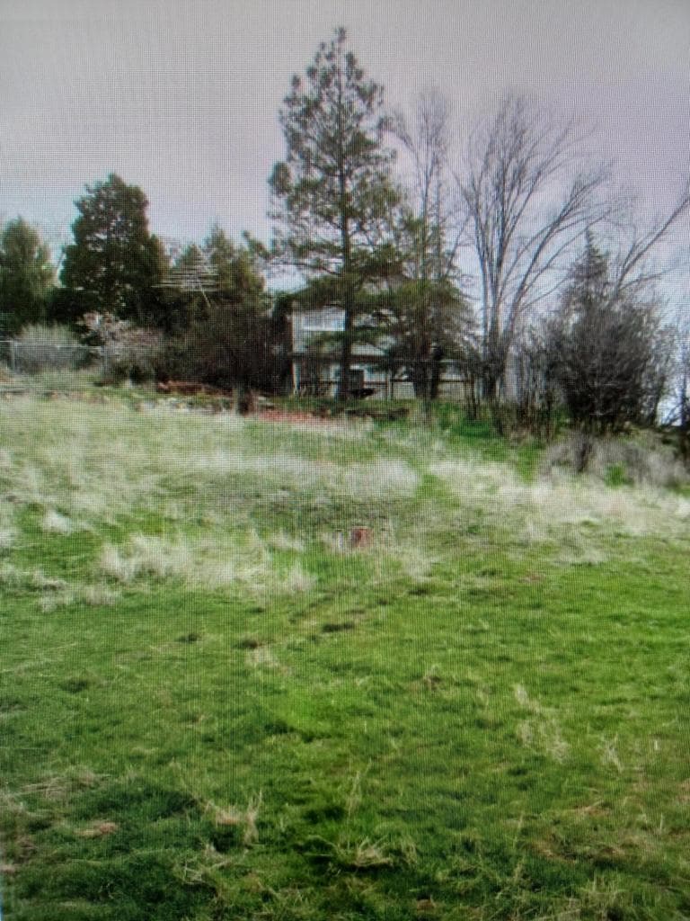 Photo of Haskins 3 of 8
