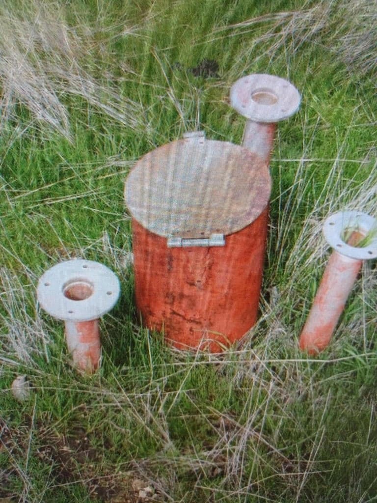 Photo of Haskins 5 of 8