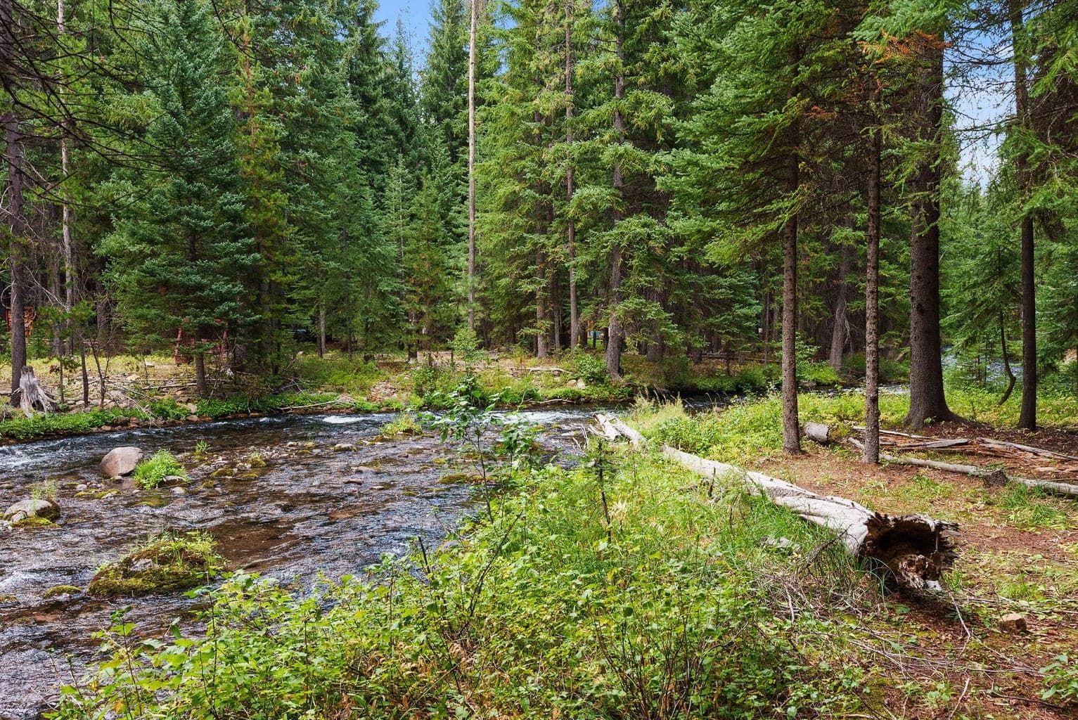 Very flat, usable creek frontage