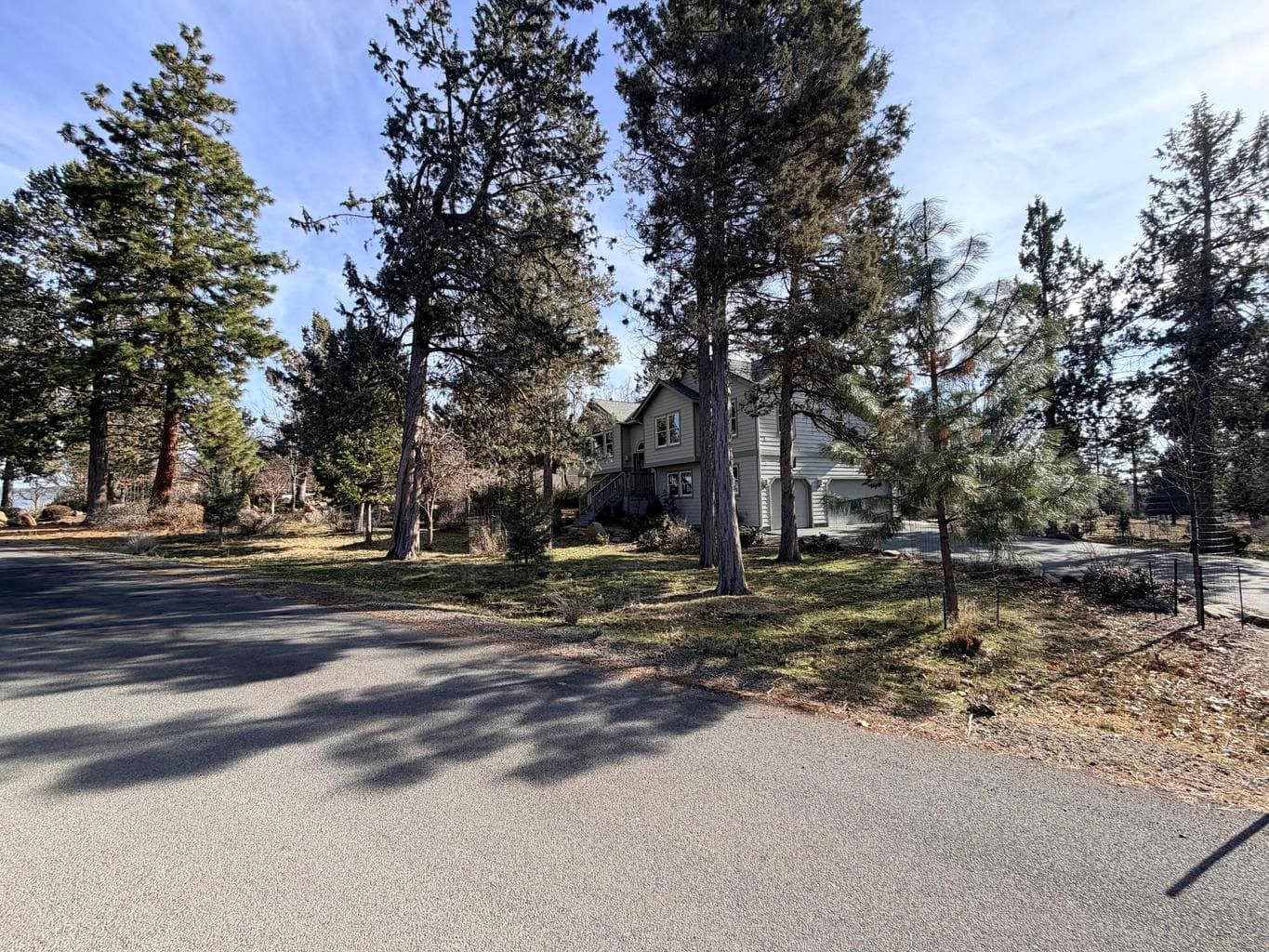 Photo of 6245 Coopers Hawk 2 of 32