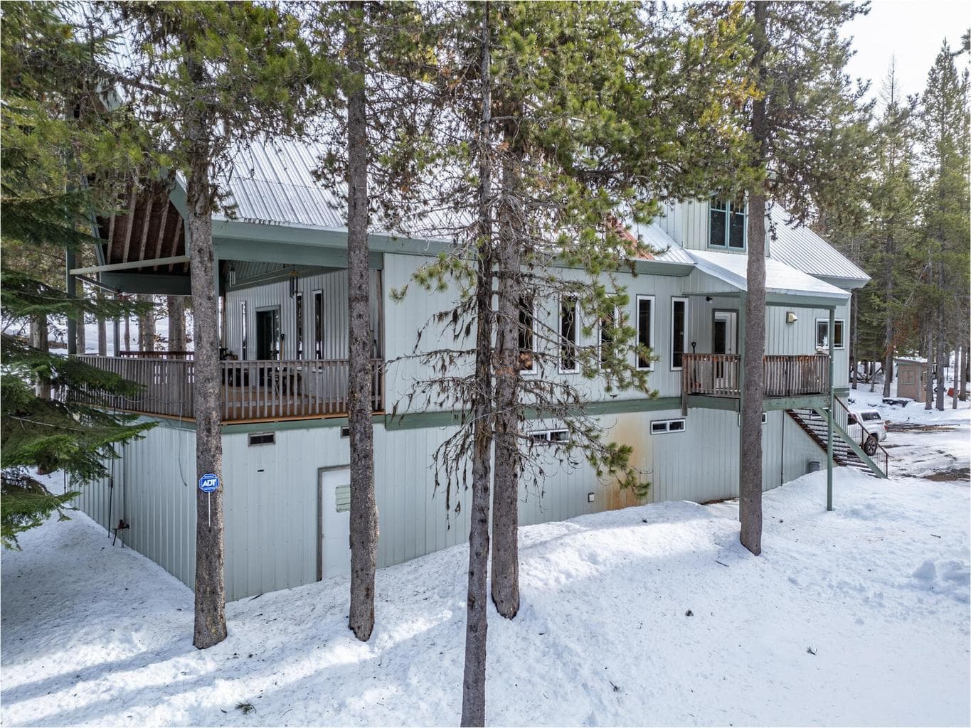 Photo of 77667 Jack Pine 2 of 47