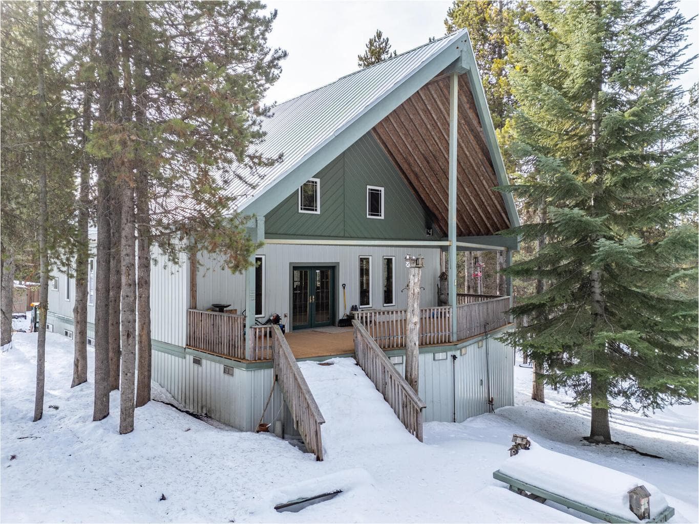 77667 Jack Pine