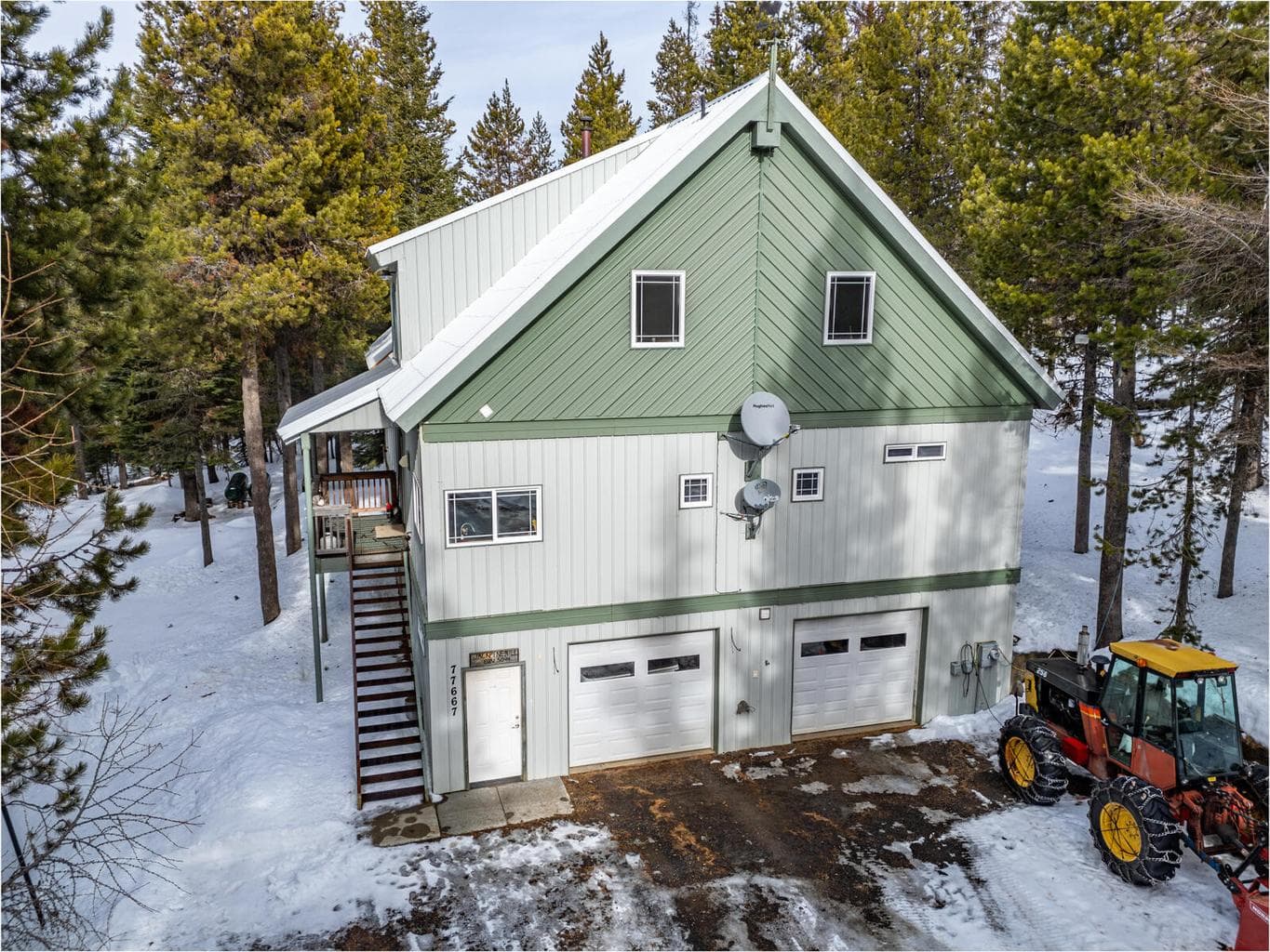 Photo of 77667 Jack Pine 3 of 47