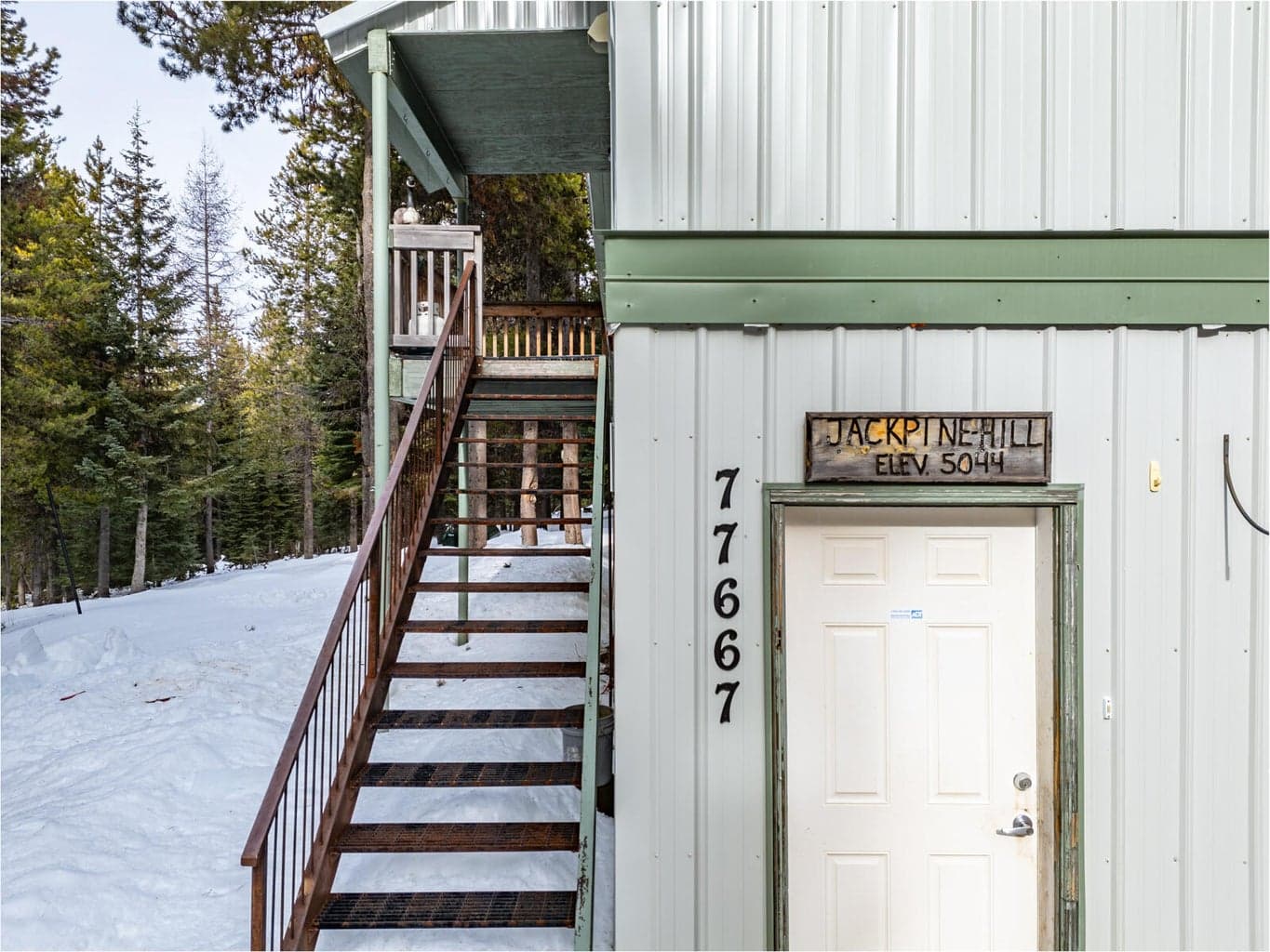 Photo of 77667 Jack Pine 4 of 47