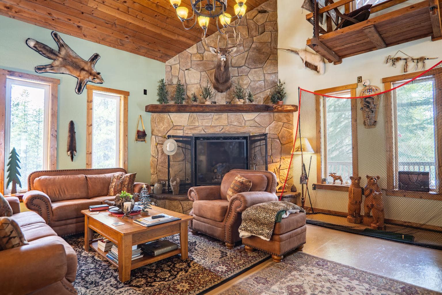 Photo of 77667 Jack Pine 5 of 42
