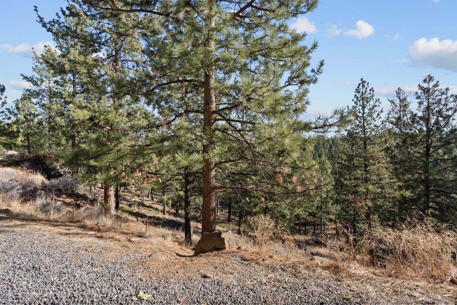 Photo of 18575 SW Century Drive 23 of 45