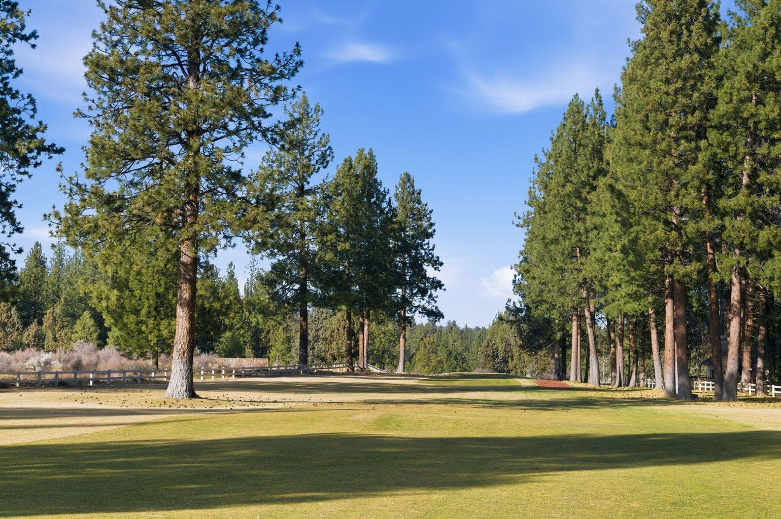 Photo of 60749 Willow Creek Loop 28 of 31