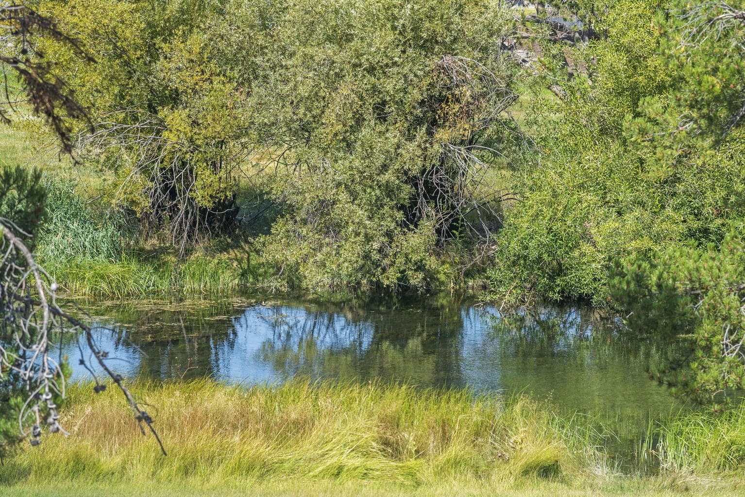Photo of 55967 Wood Duck Drive 33 of 34