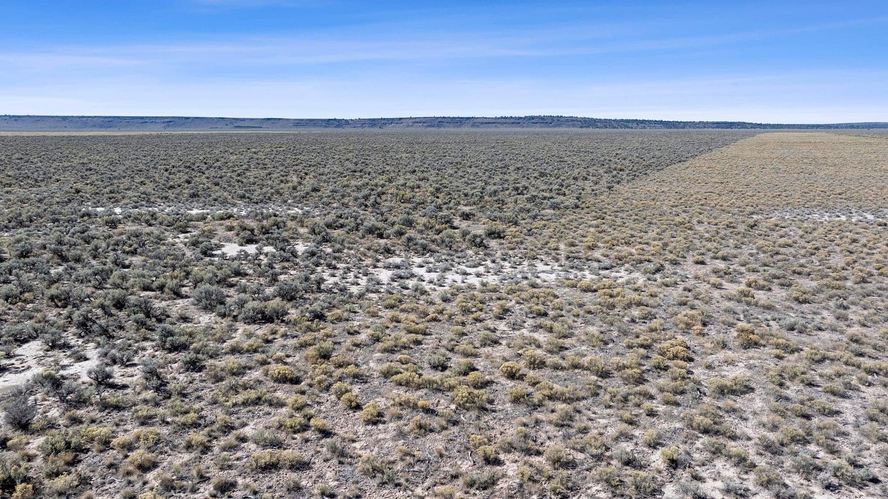 Photo of 31868 Highway 20 2 of 26