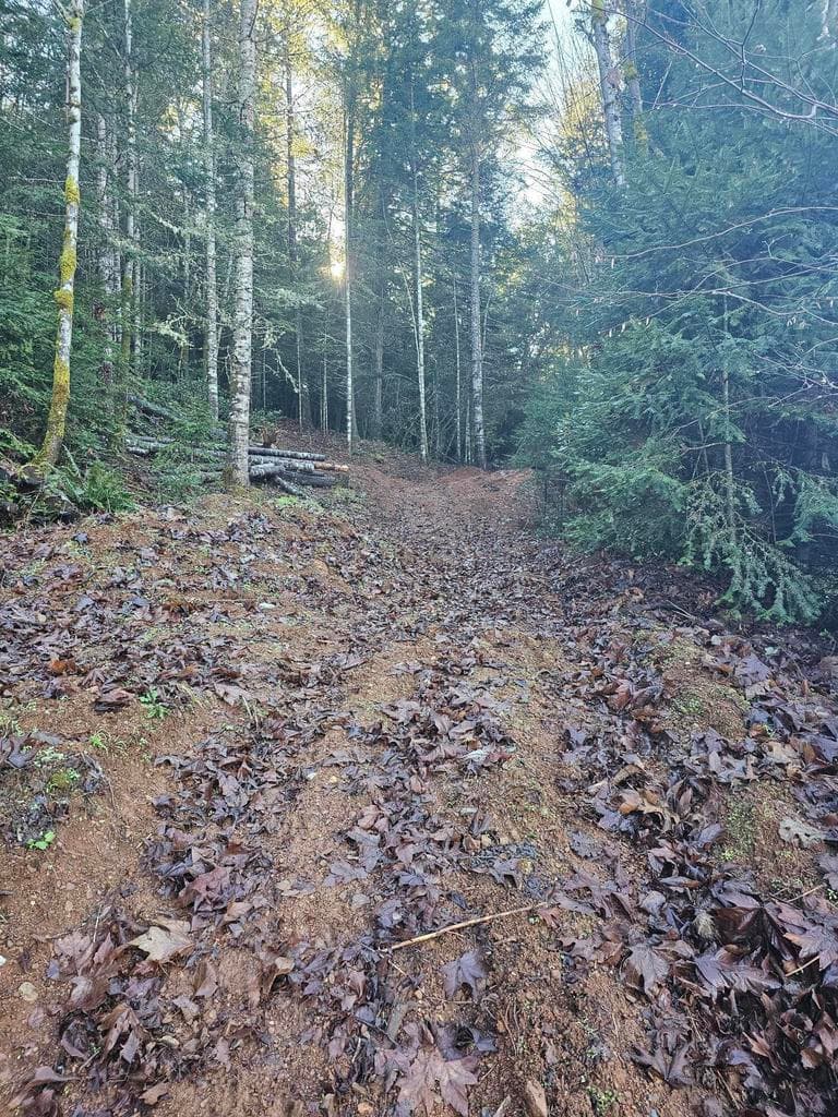 Photo of 342 5th 2 of 12