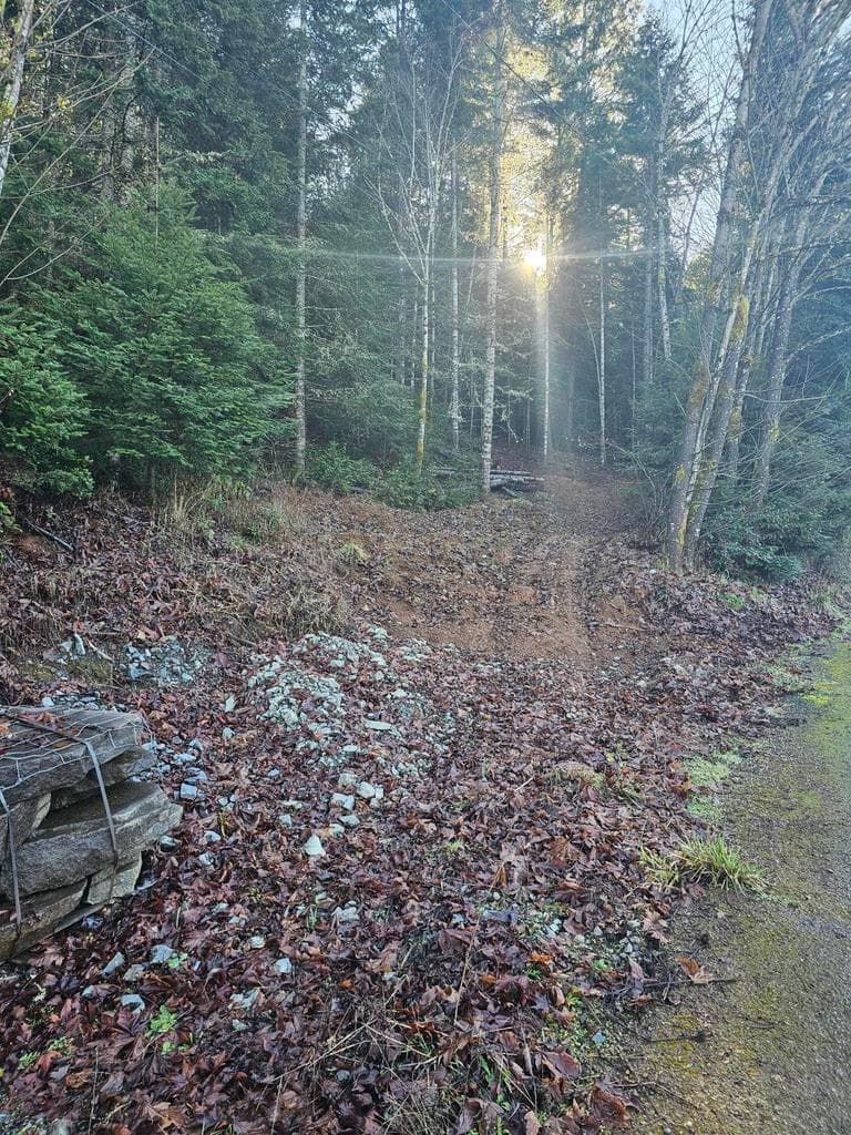 Photo of 342 5th 3 of 12