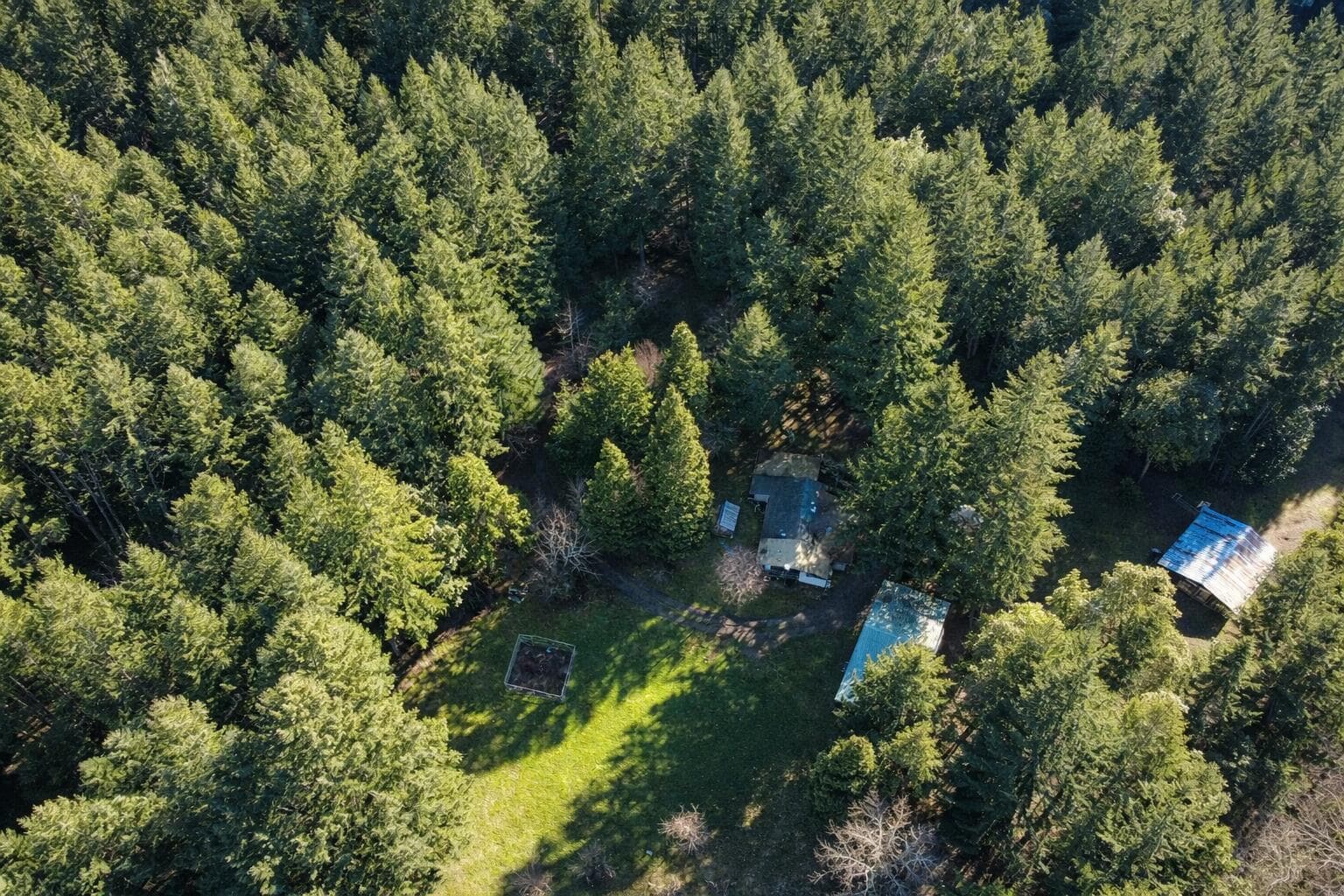 Photo of 1954 Yeust 4 of 19