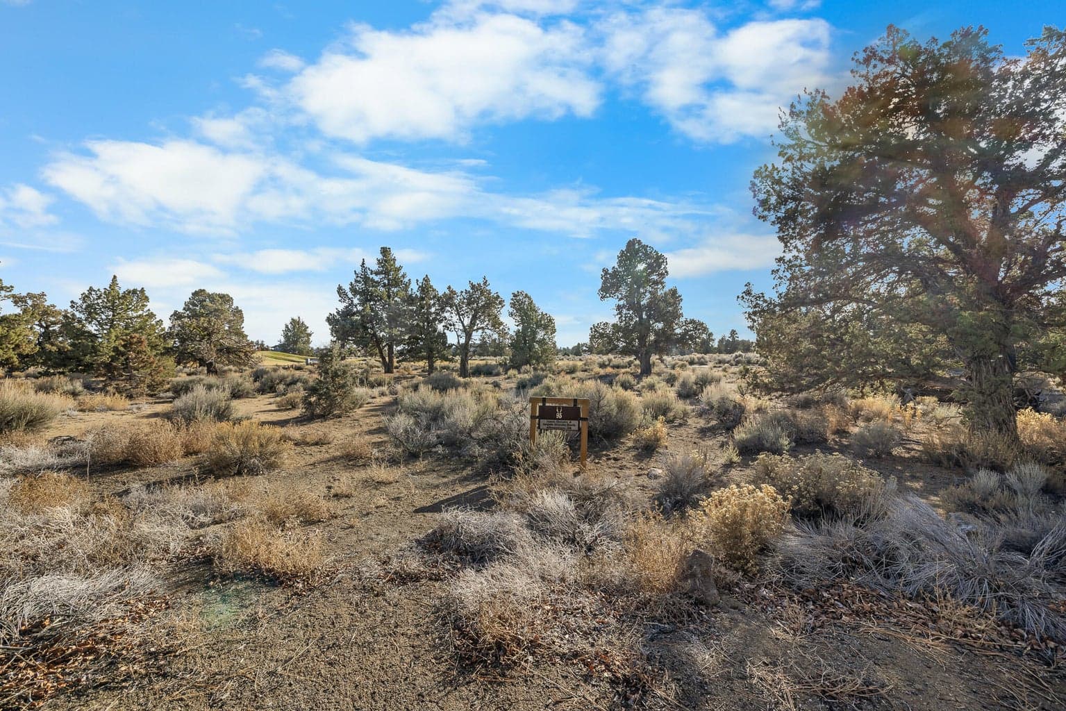Photo of 23123 Switchback 3 of 11