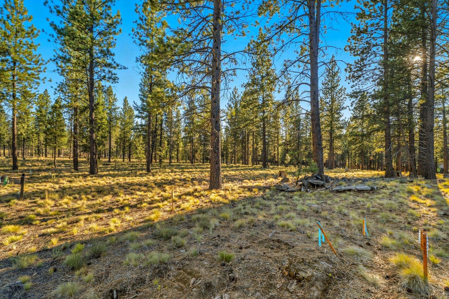 Photo of 56508 Elk Run 2 of 30
