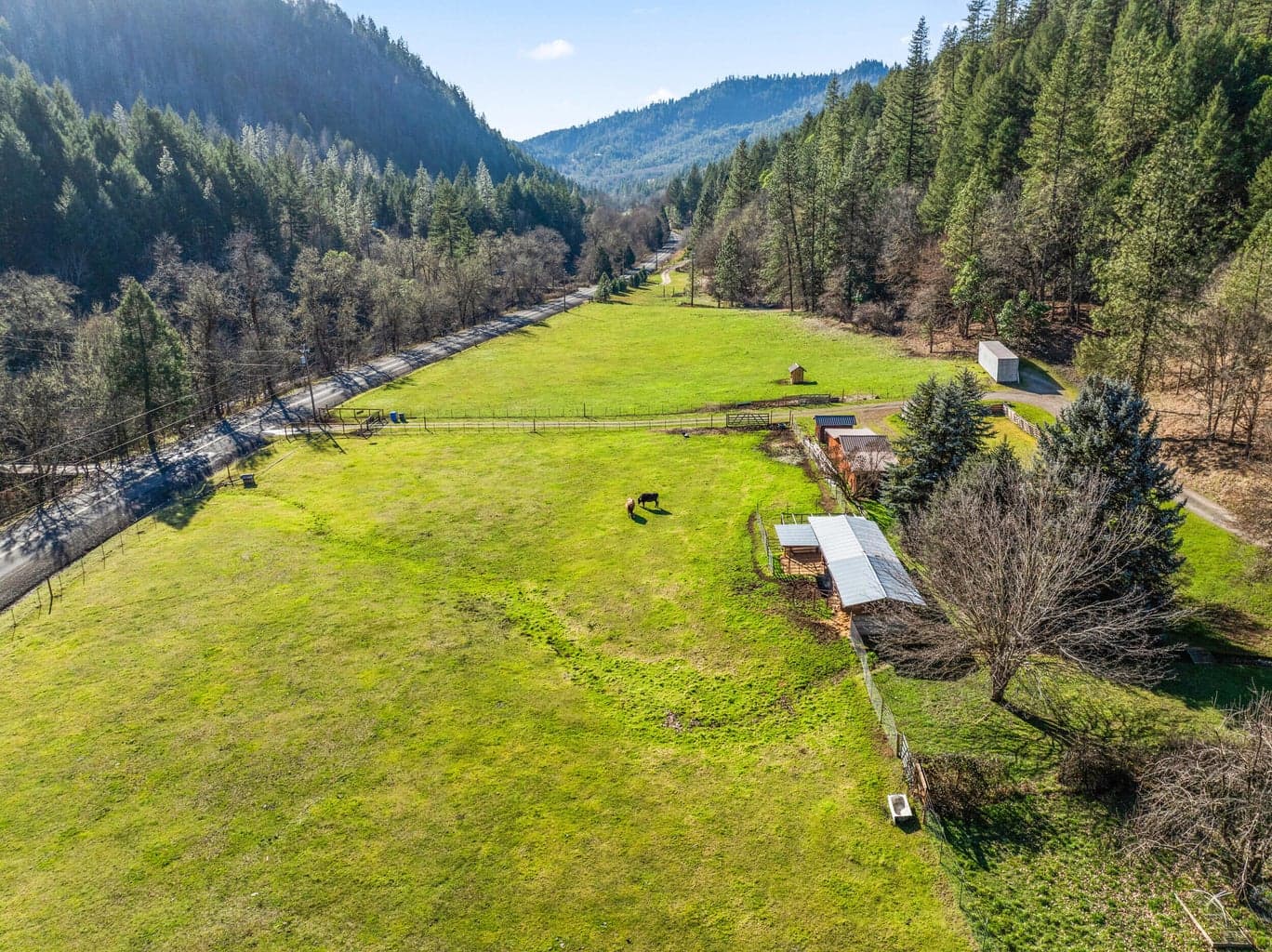 Irrigated pastures