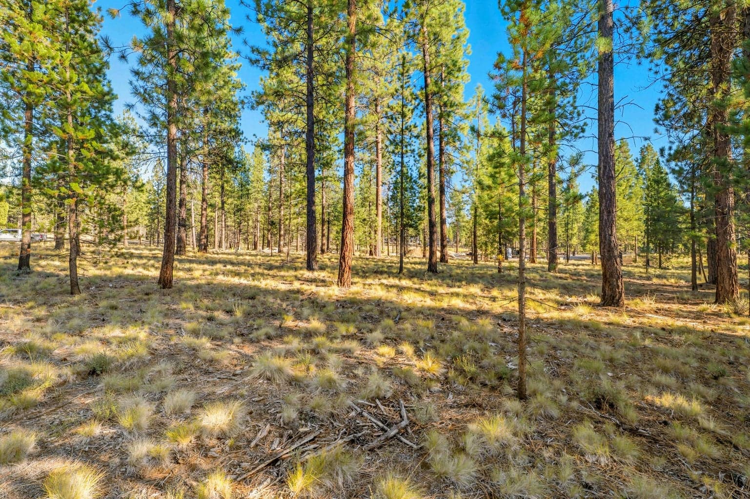 Photo of Elk Run 2 of 27