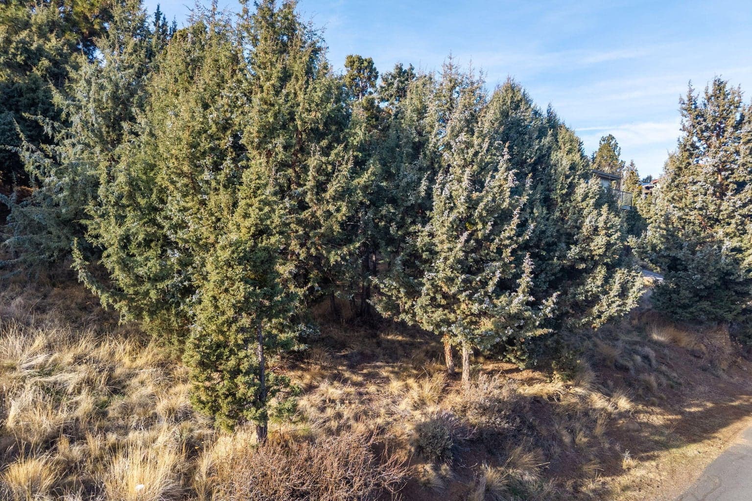 Photo of 1238 NW Remarkable Drive 10 of 24