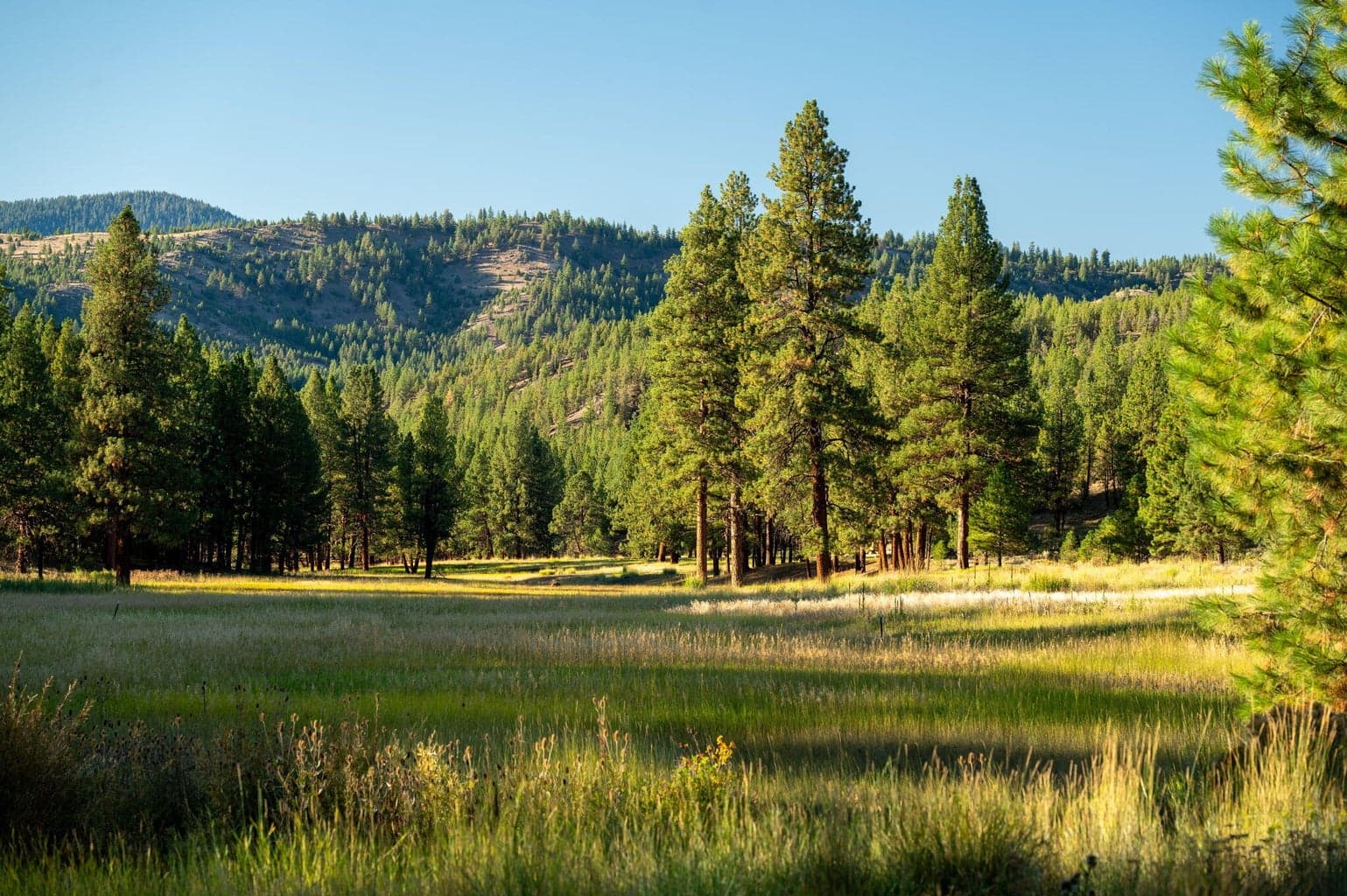 Photo of 27990 Old Wolf Creek Road 23 of 56