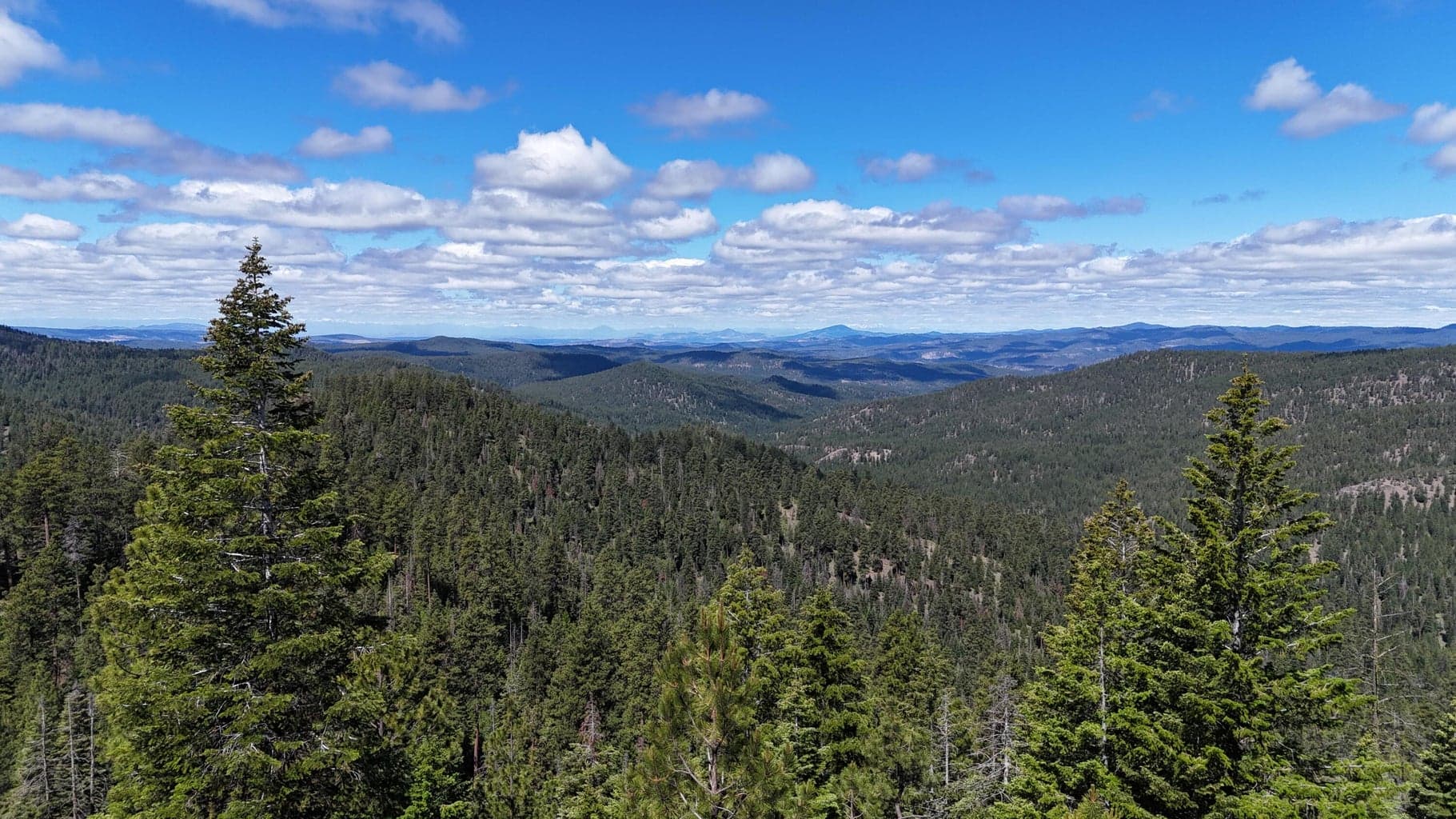 Photo of 27990 Old Wolf Creek Road 37 of 56