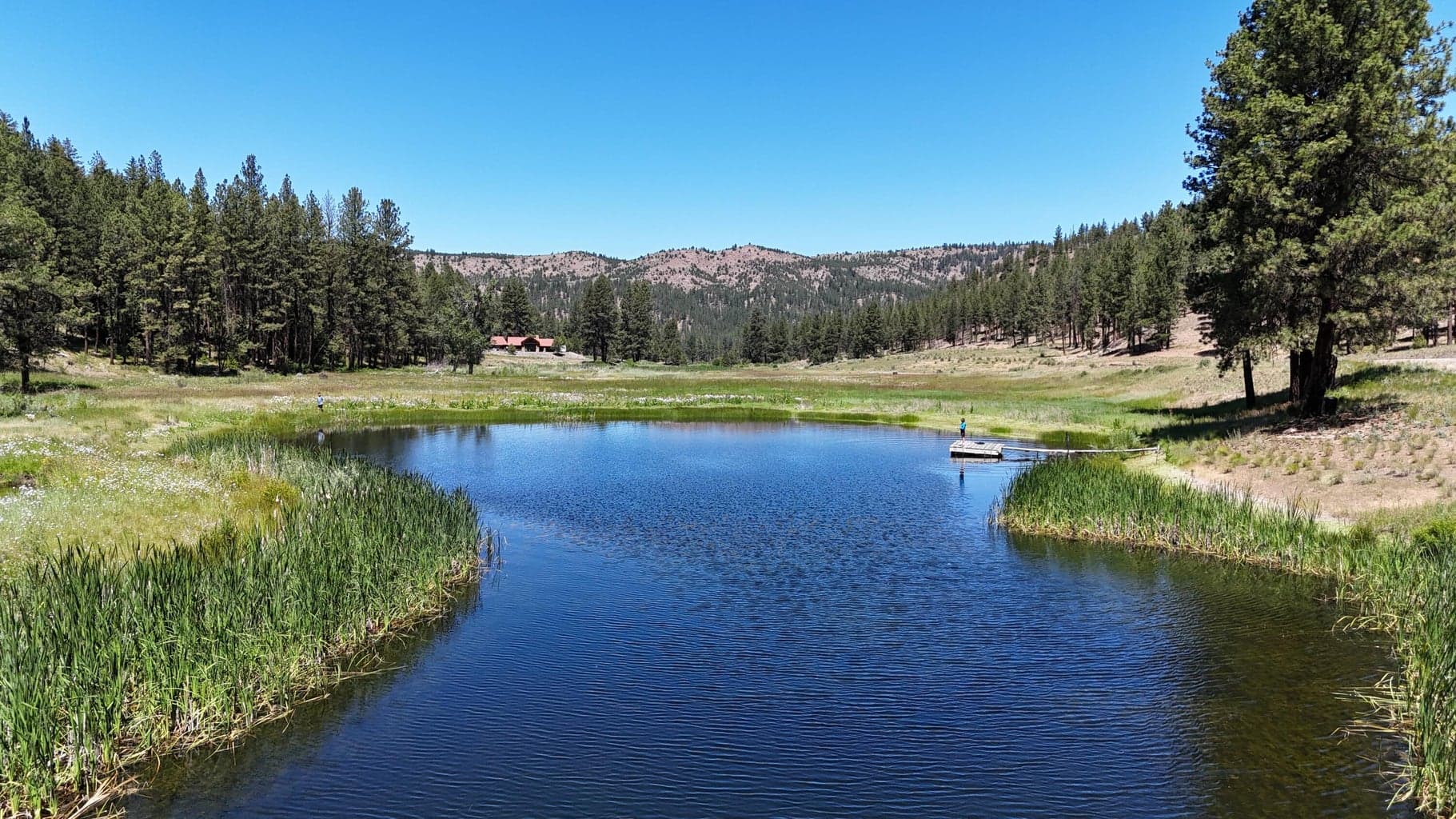 Photo of 27990 Old Wolf Creek Road 38 of 56