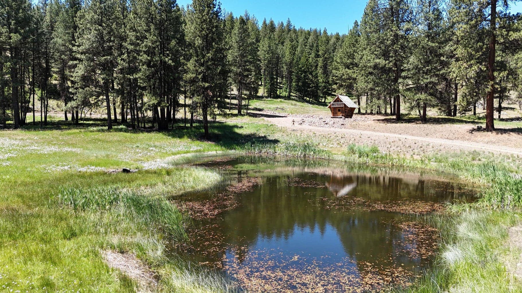 Photo of 27990 Old Wolf Creek Road 42 of 56