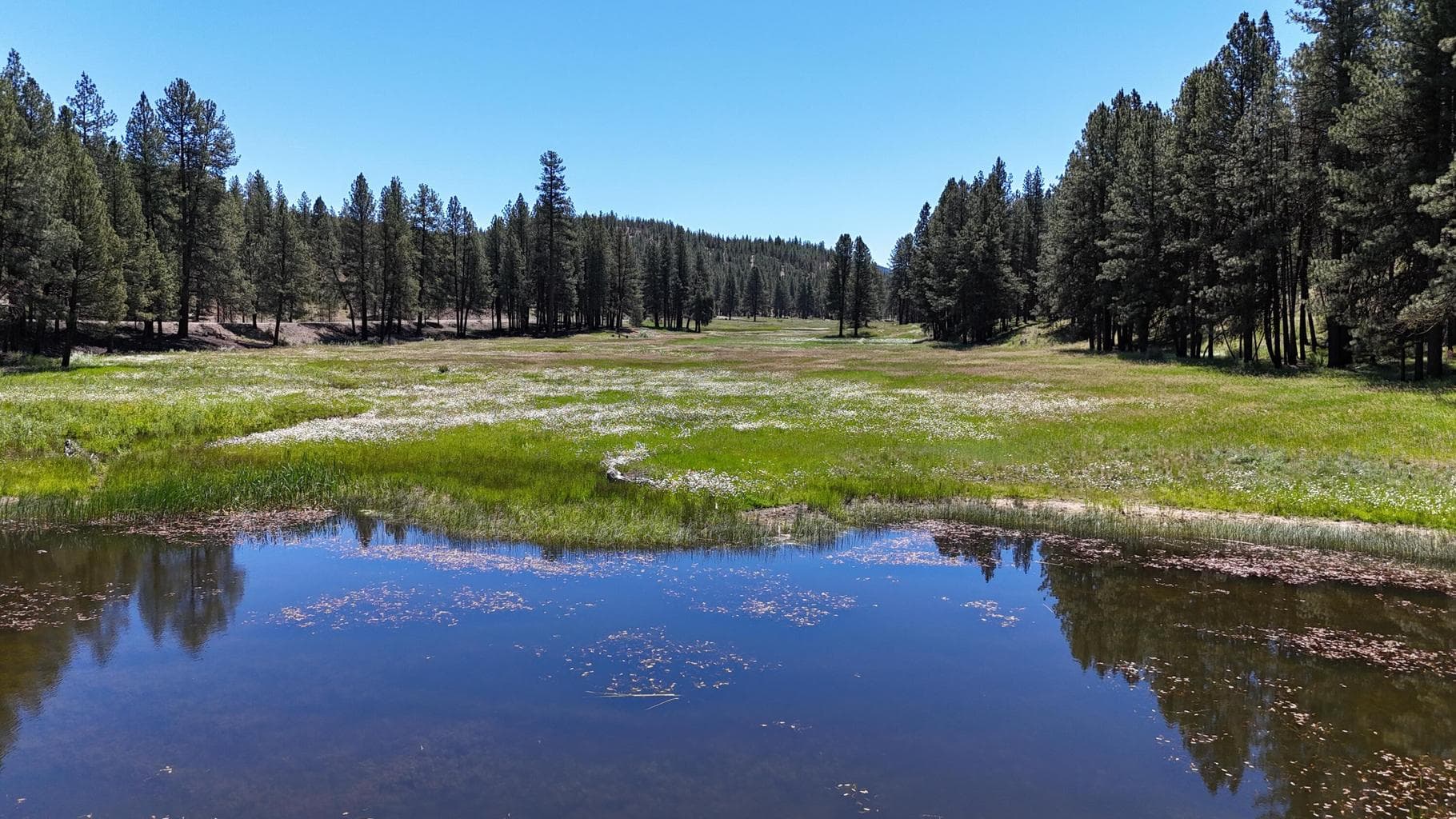 Photo of 27990 Old Wolf Creek Road 41 of 56