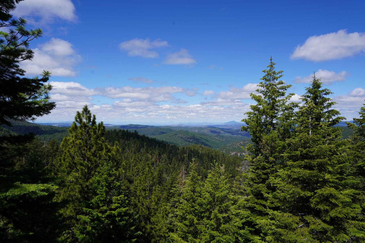 Photo of 27990 Old Wolf Creek Road 54 of 56