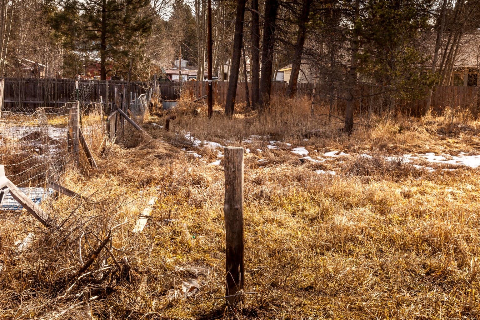 Looking East from the approximate Northwest corner of the lot.