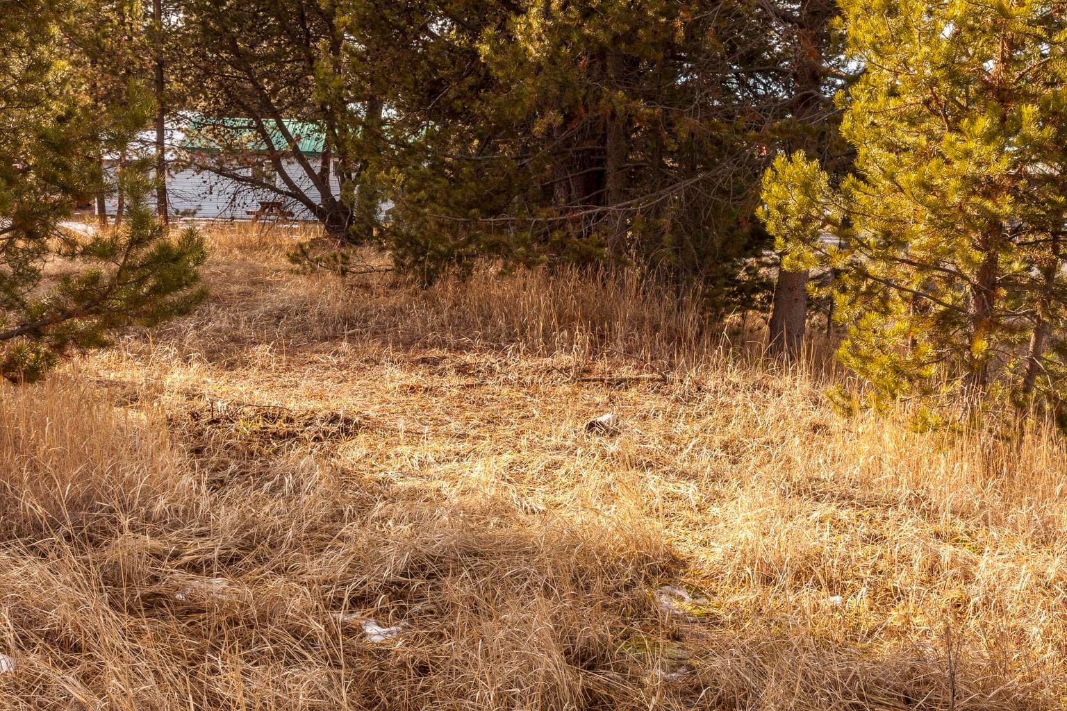 Looking South from the approximate Northwest corner of the lot.