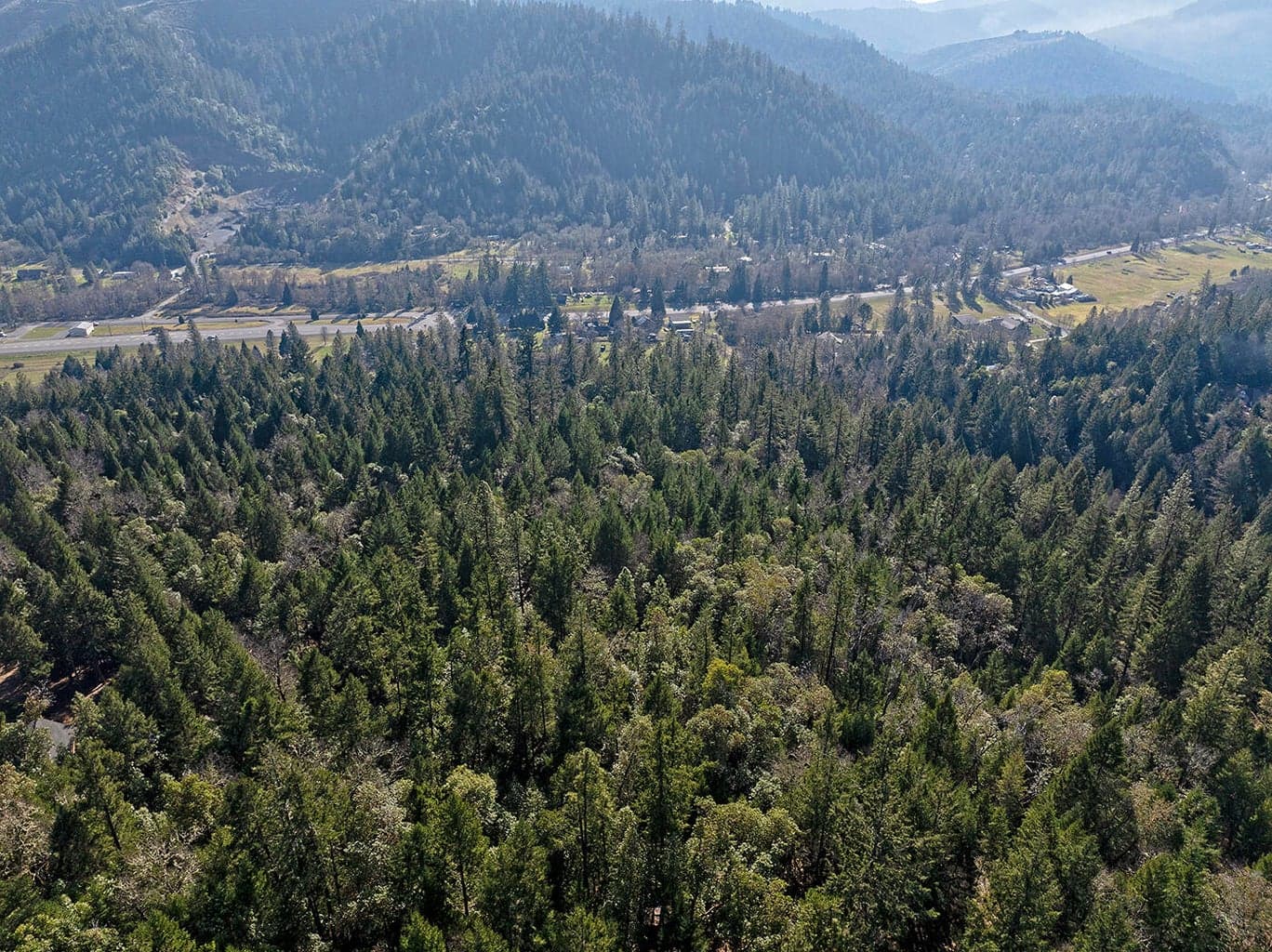 Photo of 125 Ingalls 3 of 11