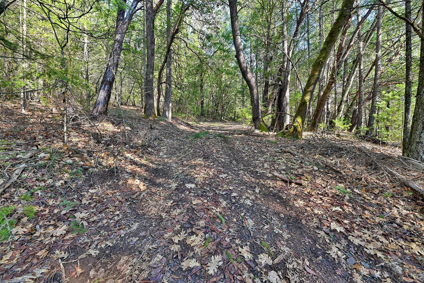 Photo of 125 Ingalls 4 of 11