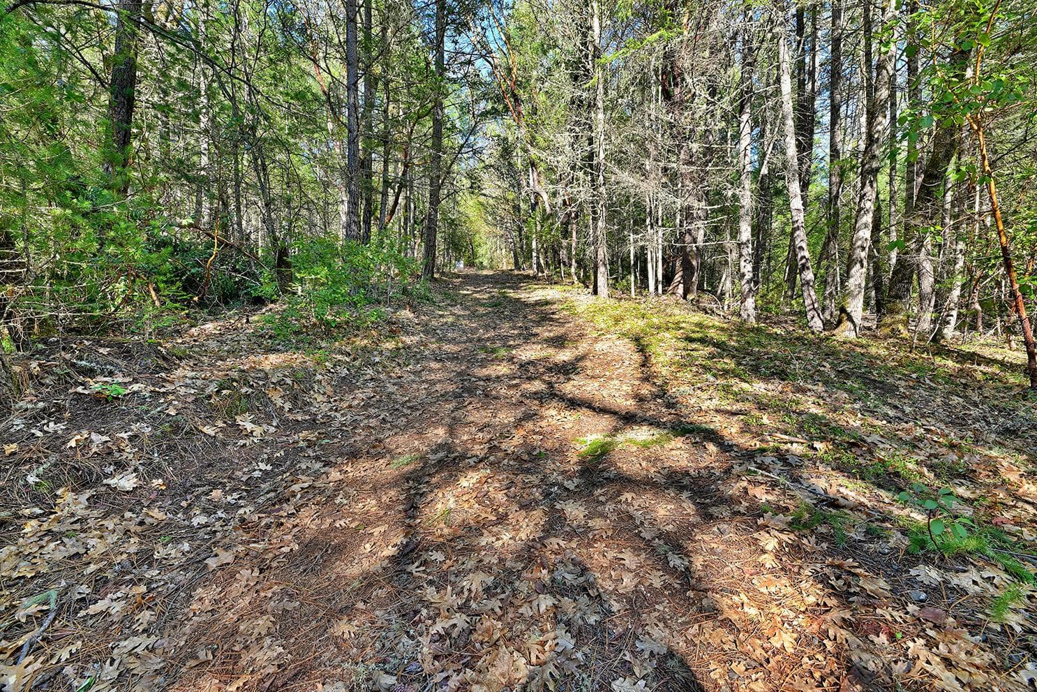 Photo of 125 Ingalls 5 of 11