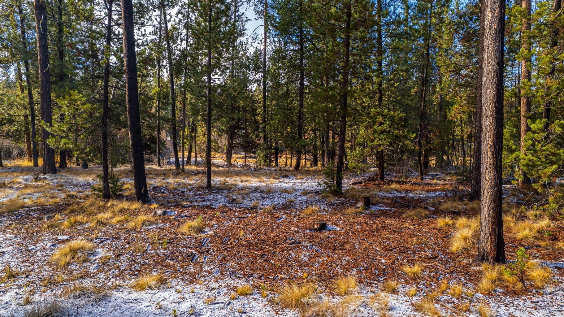 Photo of 17219 Pasadena Road 10 of 15