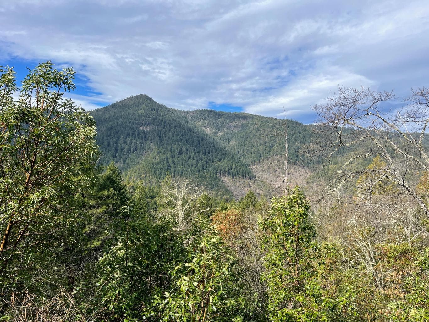 0 Savage Creek Rd TL2502
