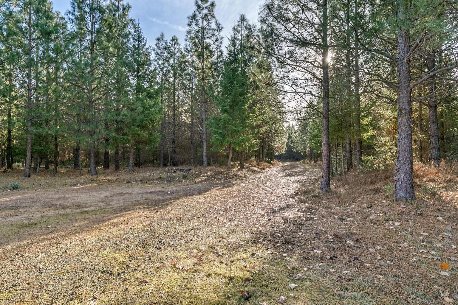 Photo of 32916 Highway 62 2 of 34