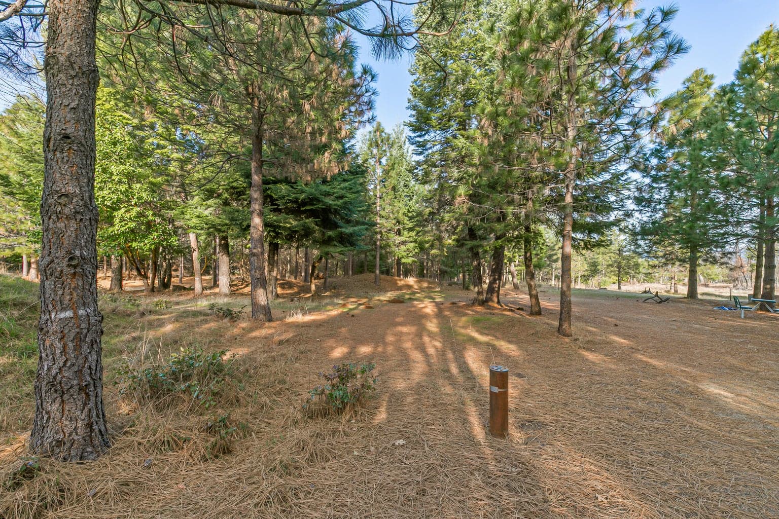 Photo of 32916 Highway 62 3 of 34