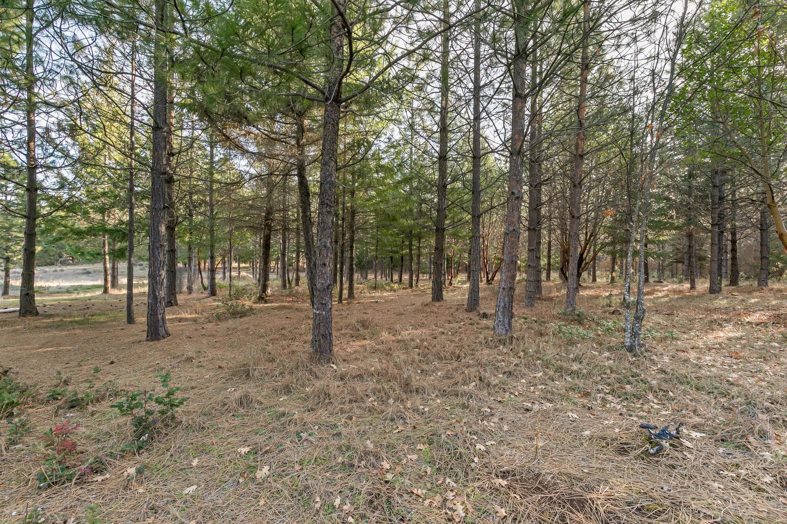 Photo of 32916 Highway 62 4 of 34