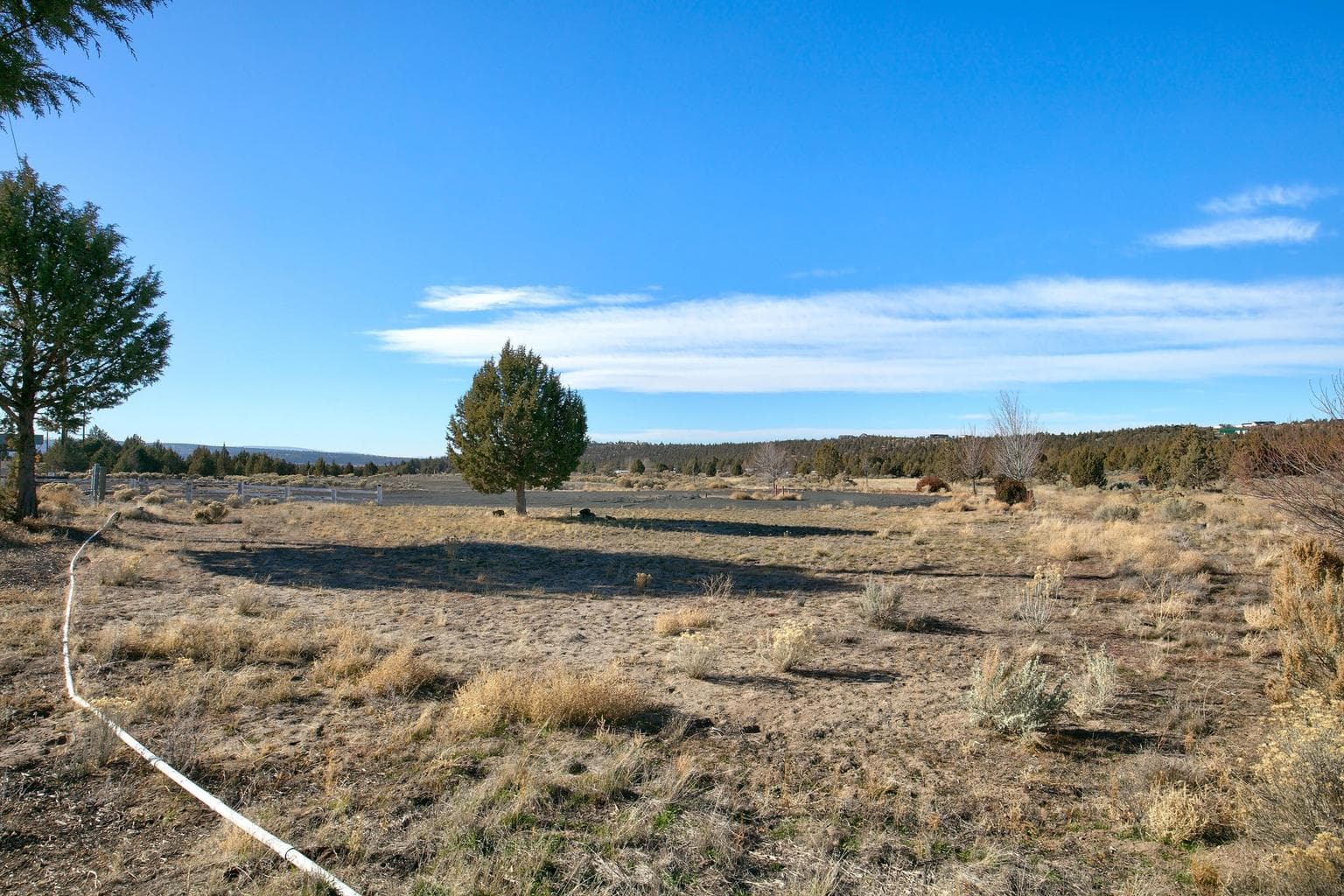 Photo of 11301 Juniper Canyon 3 of 10