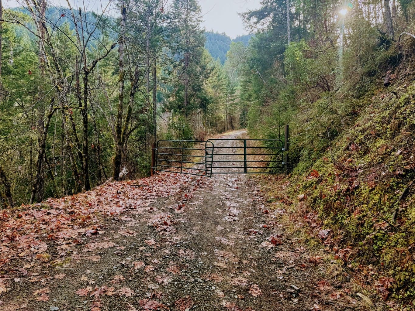 Photo of 0 Savage Creek Rd TL2502 2 of 40