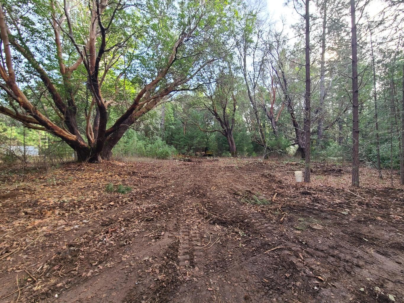 Caves Hwy