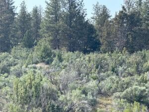0 Council Butte, Beatty, 97621