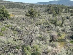 Photo of 0 Council Butte 2 of 4